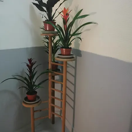 Sejour Courte Duree - Apartment
